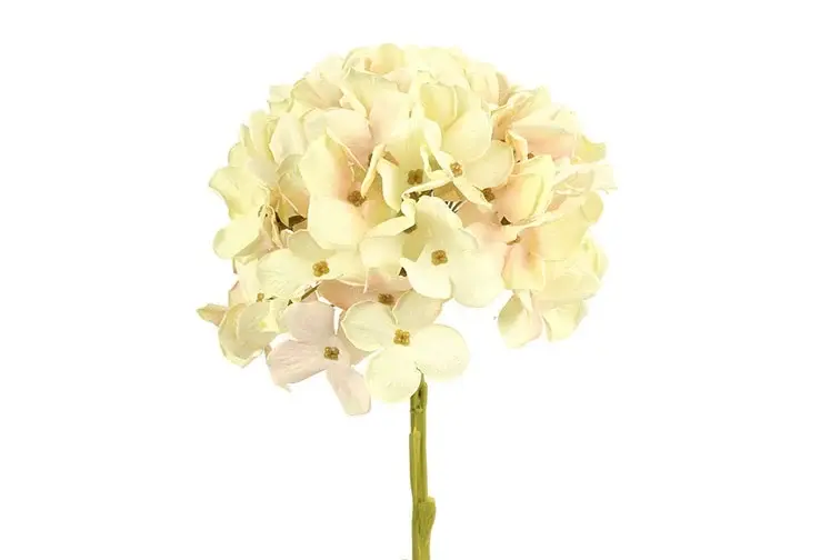 Hydrangea ro S crème-L18B18H47CM