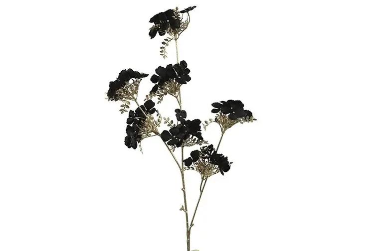 Hydrangea S zwart-L8B17H84CM