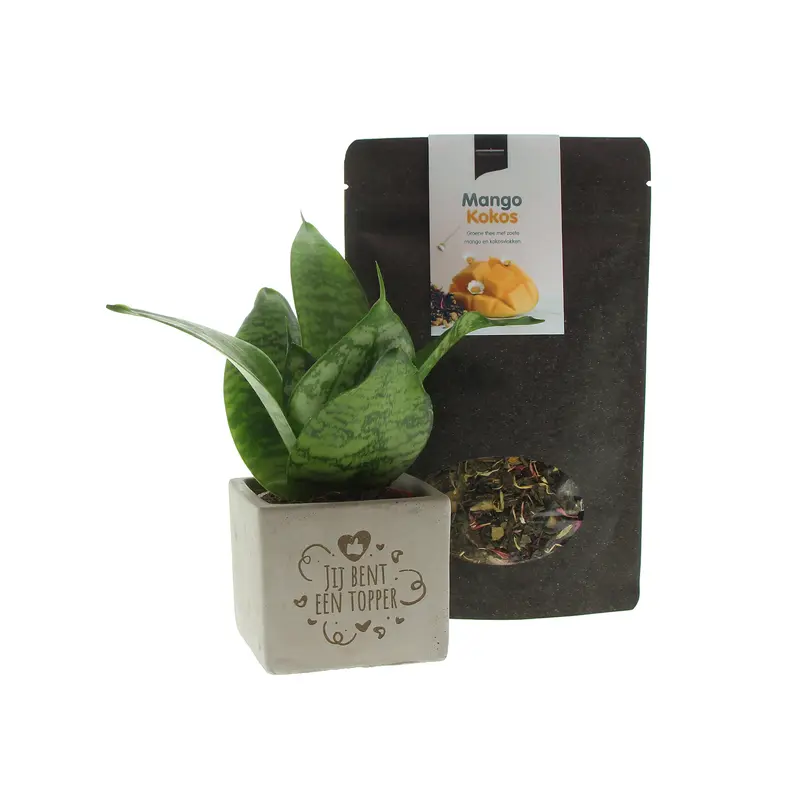 Jij bent een Topper Plant - Thee Pakket