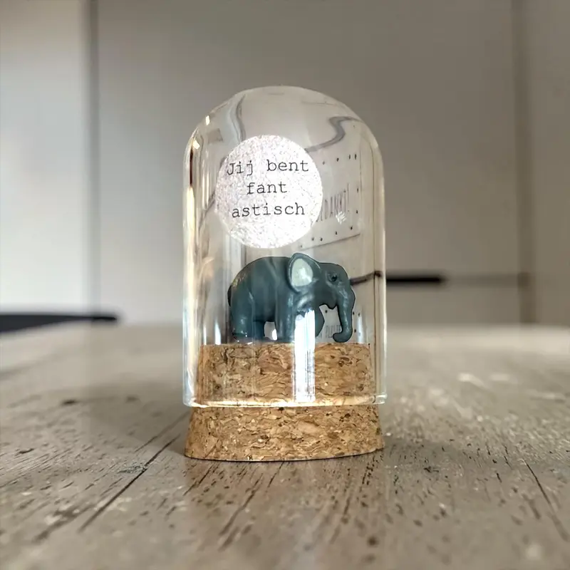 Jij bent -fan-tastisch – Olifant in stolp