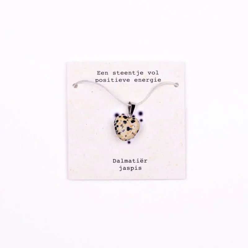 Ketting positieve energie -Dalmatiër Jaspis