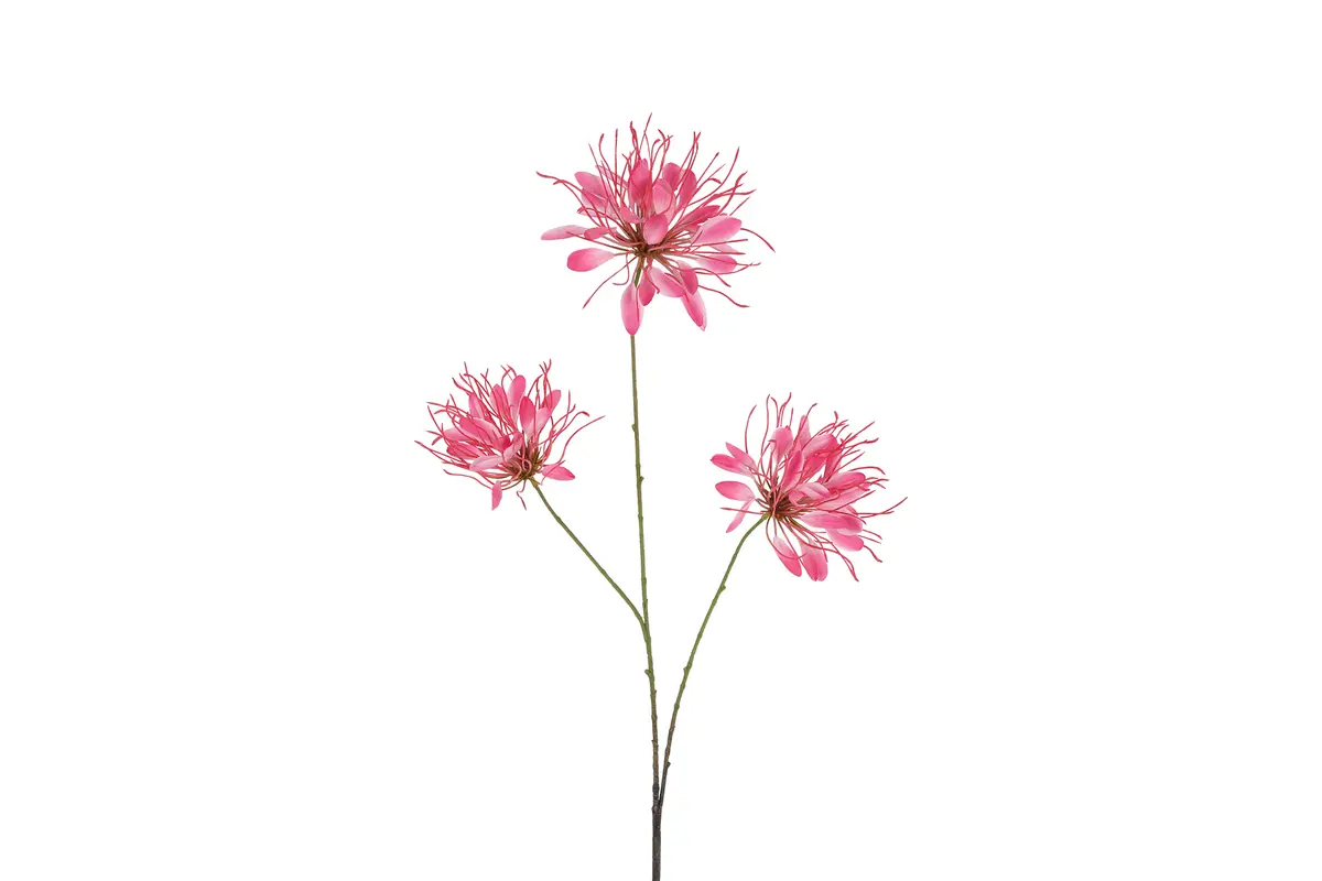 Kunst bloem Lycoris S d.roze - L12B8H94CM