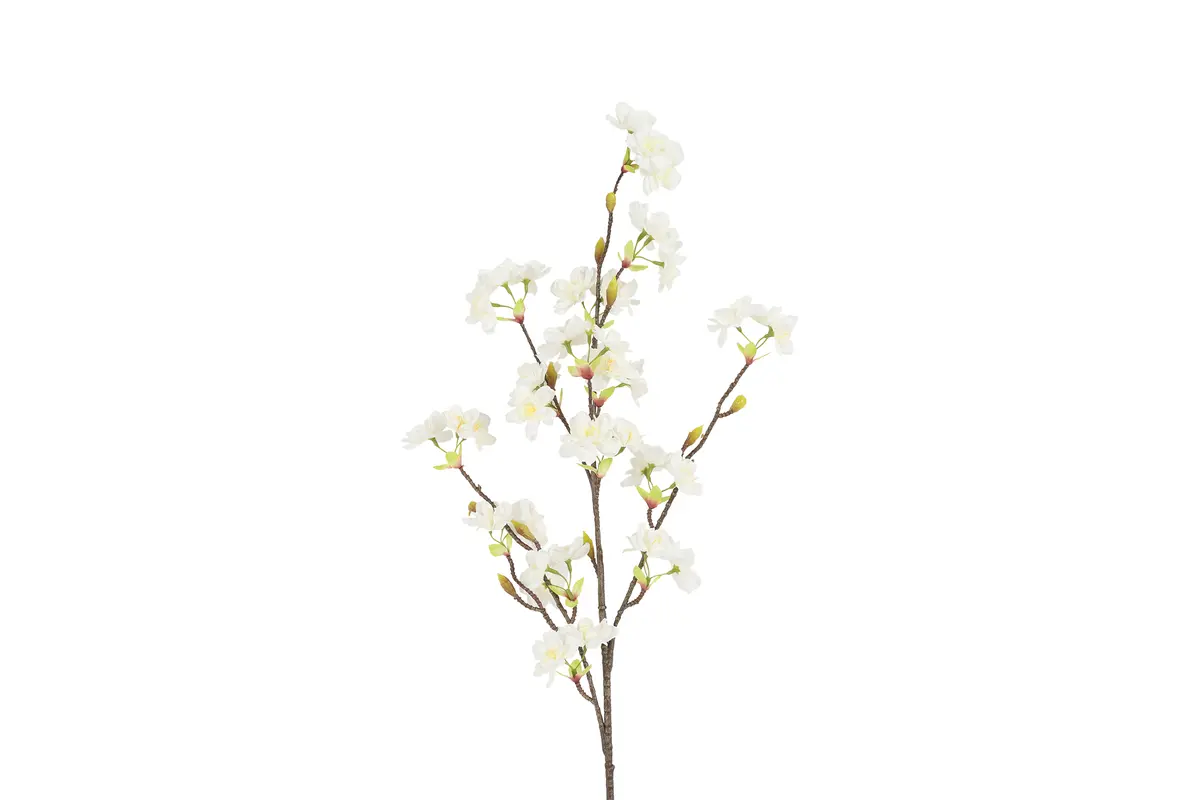 Kunst bloem Prunus sakura XL wit - L15B20H97CM