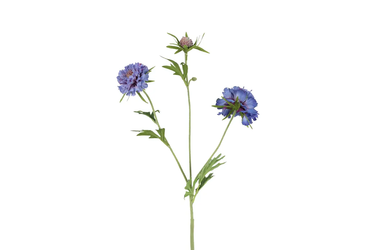 Kunst bloem Scabiosa blauw - L11B7H72CM