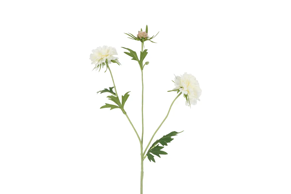 Kunst bloem Scabiosa wit - L11B7H72CM
