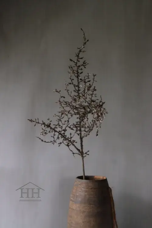 Kunst corokia tak 110cm