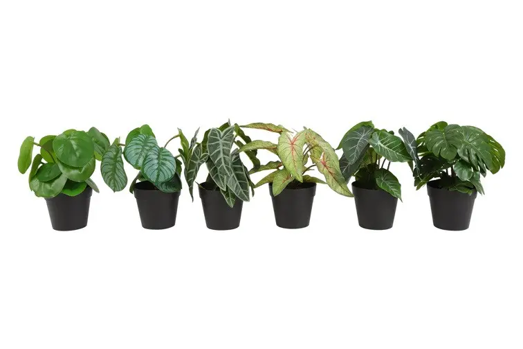 Kunst plant Mixed (prijs per stuk) groen-L18B17H21CM