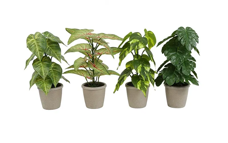 Kunst plant Mixed (prijs per stuk) groen-L18B18H30CM
