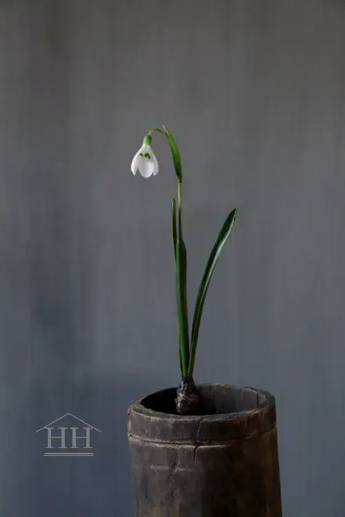 Kunst sneeuwklokje op bol 30cm