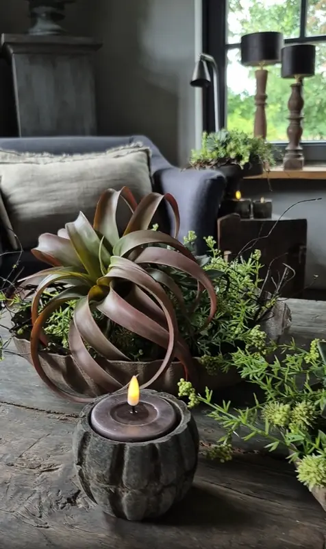 Kunst tillandsia vetplant bruin
