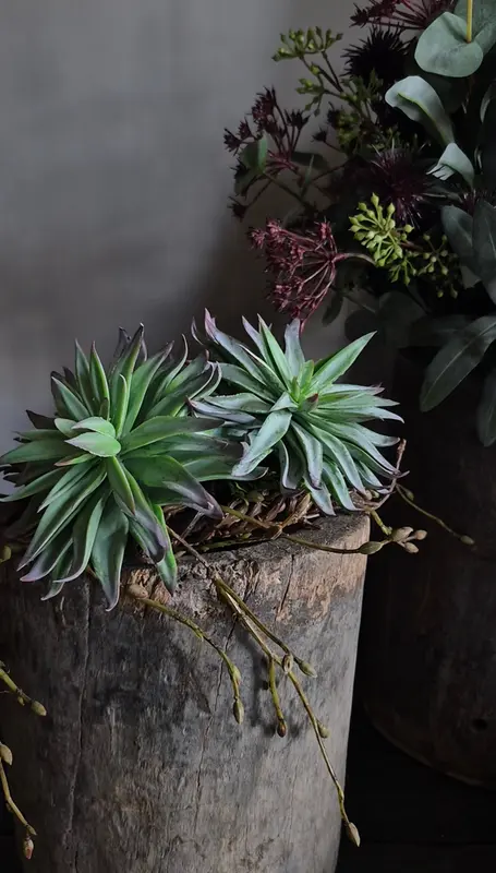 Kunst vetplant aeonium groen bordeauxrood - 13 cm