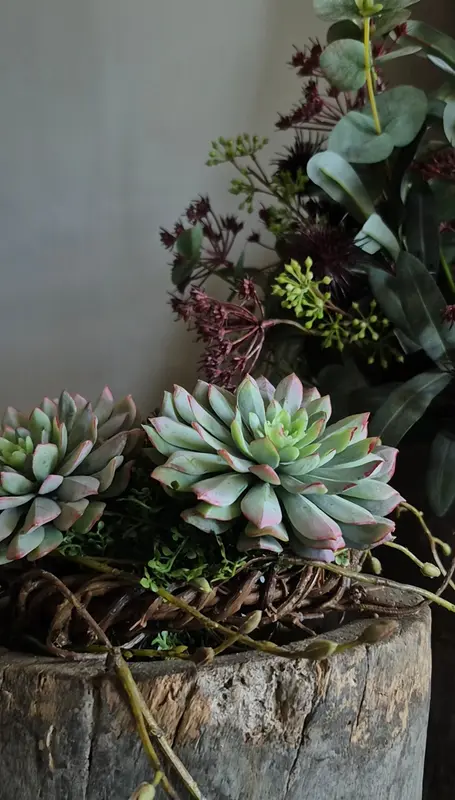 Kunst vetplant echeveria groen bordeauxrood - 10 cm