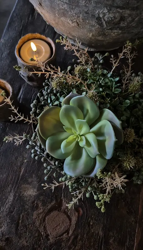 Kunst vetplant echeveria succulent groen