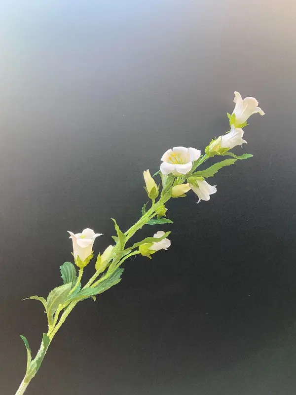 Kunstbloem Campanula Crème