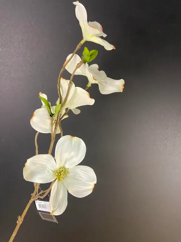 Kunstbloem Dogwood wit