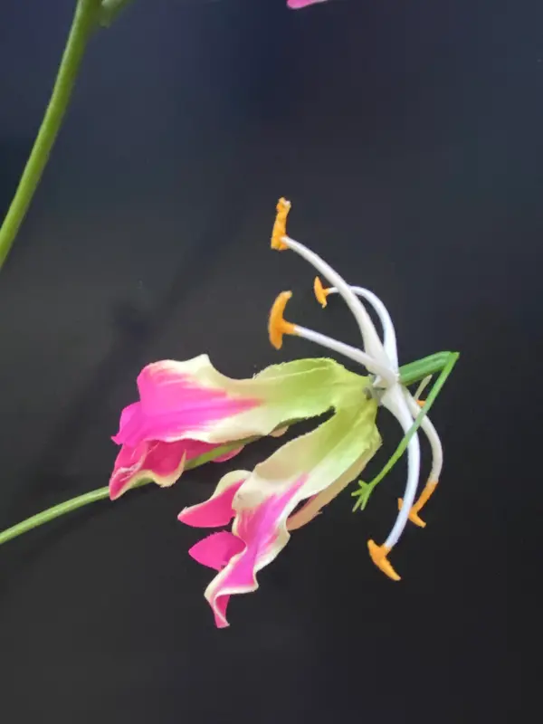 Kunstbloem Gloriosa Roze