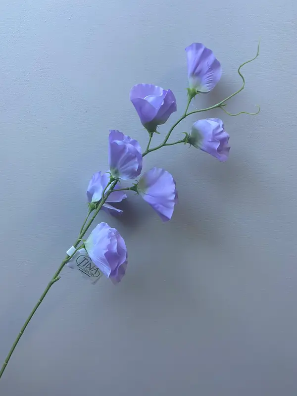 Kunstbloem Lathyrus lila