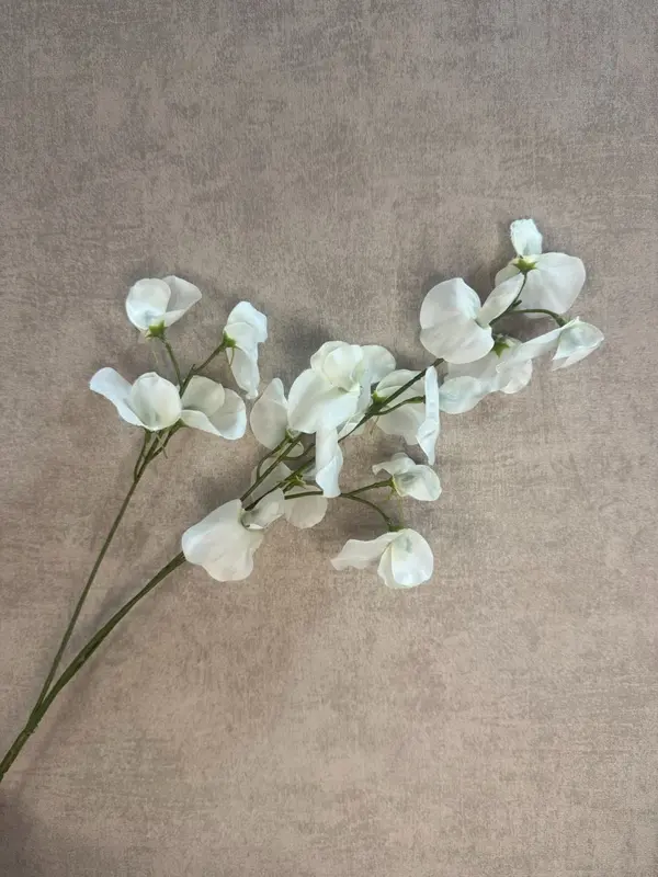 Kunstbloem Lathyrus wit