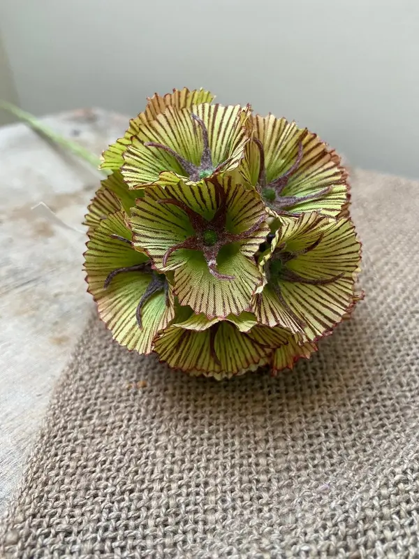 Kunstbloem Scabiosa seed