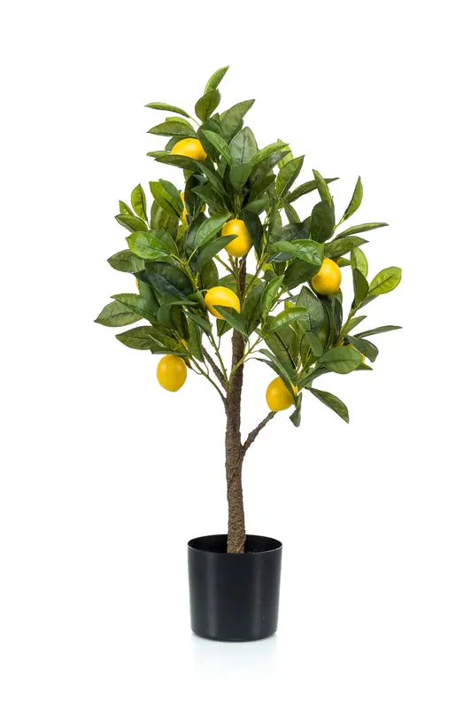 Kunstplant Citroenboom 75cm – Citrus Limonia