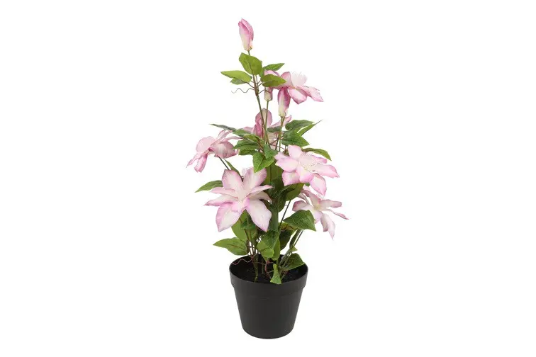Kunstplant Clematis L roze-L20B20H58CM