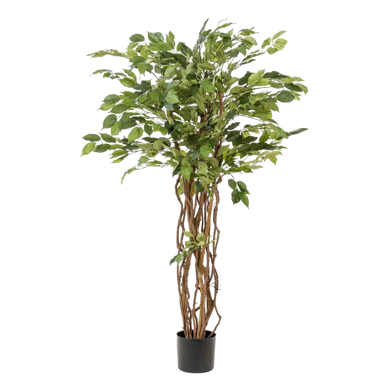 Kunstplant Ficus Liana 140cm – Vioolbladplant