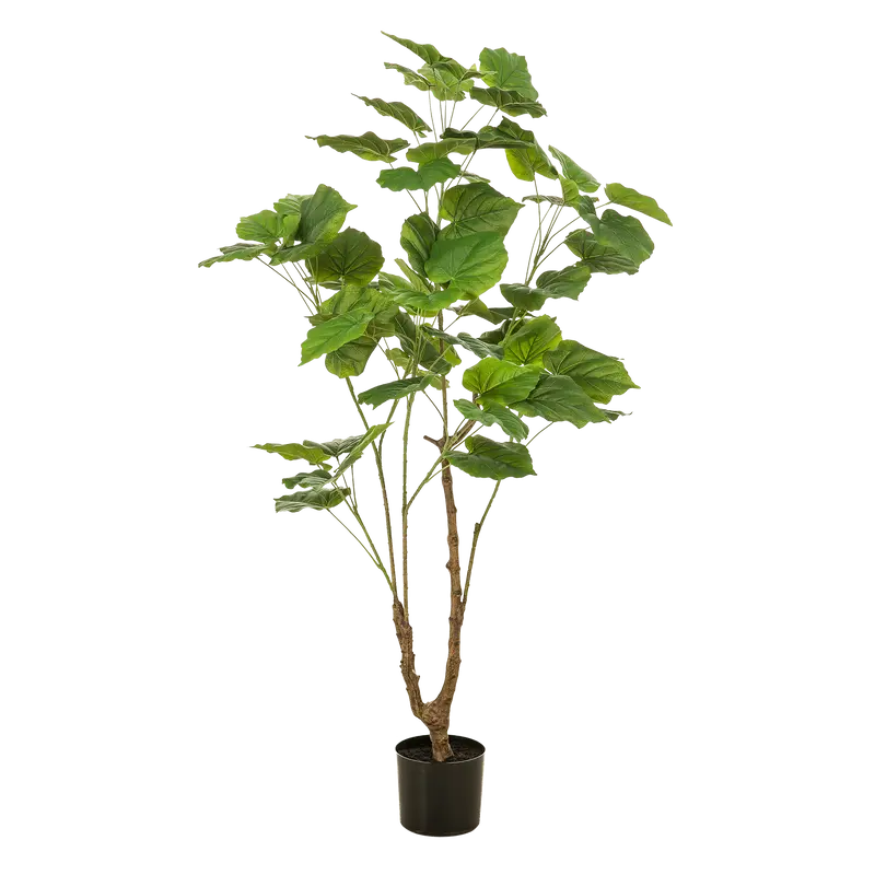 Kunstplant Ficus Umbellata 125cm – Afrikaanse vijg