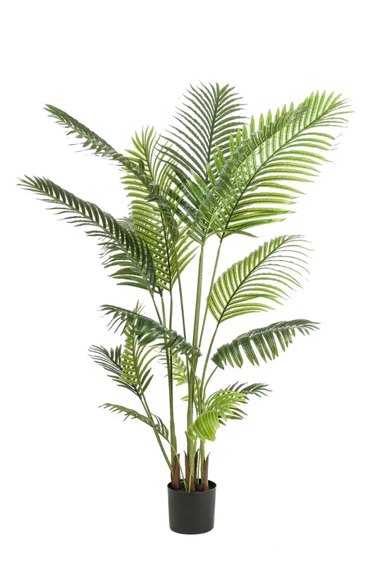 Kunstplant Howea Forsteriana 160cm – Paradijspalm
