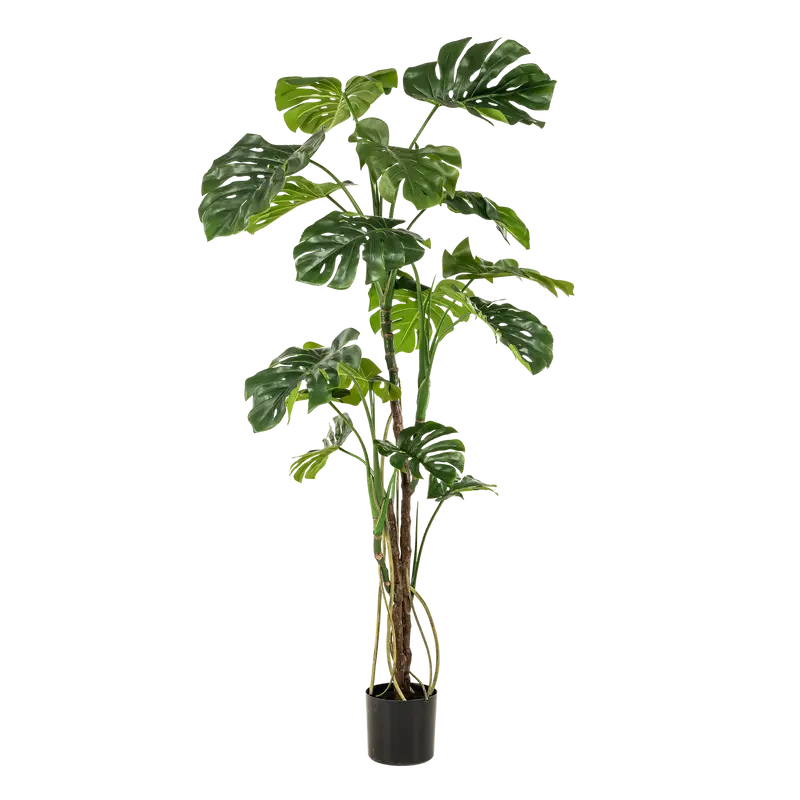 Kunstplant Monstera 180cm – Gatenplant Groen