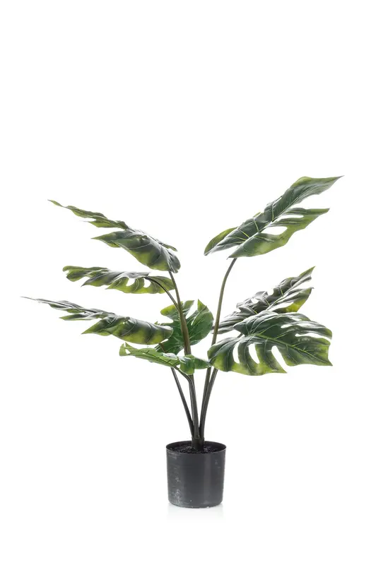 Kunstplant Monstera Deliciosa 65cm – Gatenplant Groen