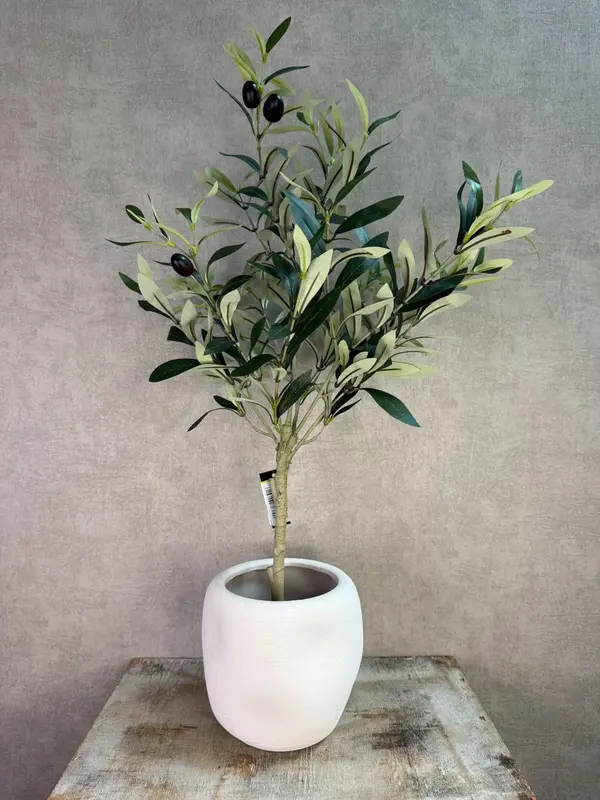 Kunstplant Olijf