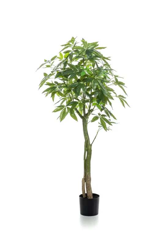 Kunstplant Pachira Aquatica 150cm – Geldboom Groen