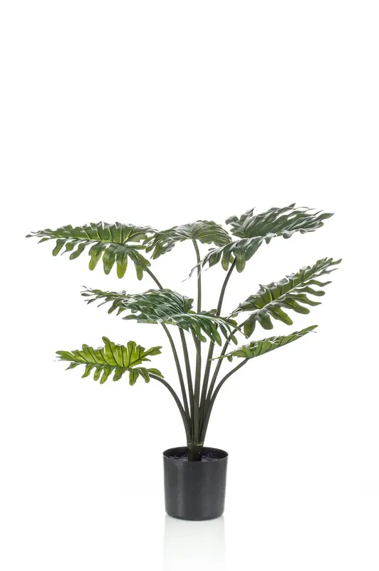 Kunstplant Philodendron 60cm