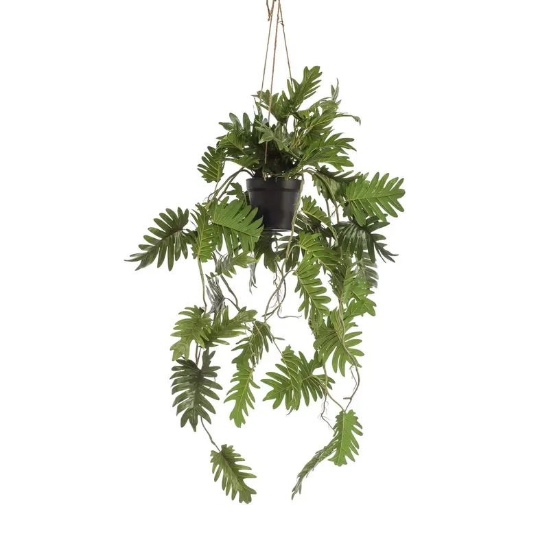 Kunstplant Philodendron 80 cm - Klimmende boomliefhebber