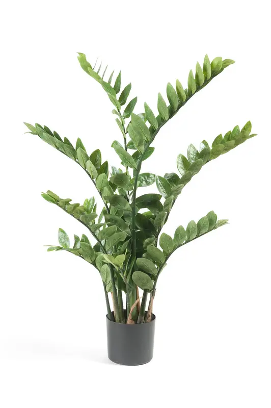 Kunstplant Zamioculcas 110cm – Kamerpalm