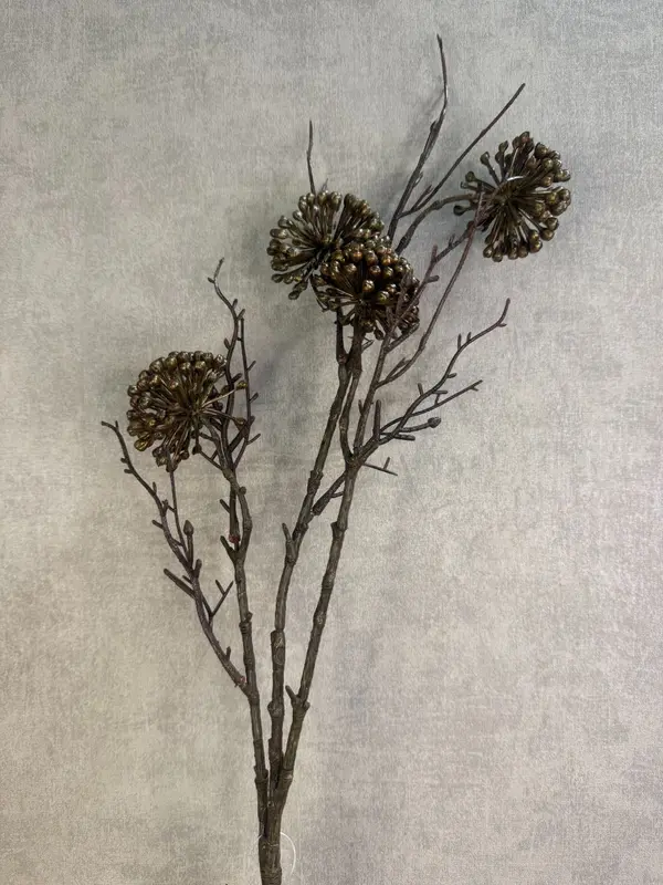 Kunsttak Alium | Bruin