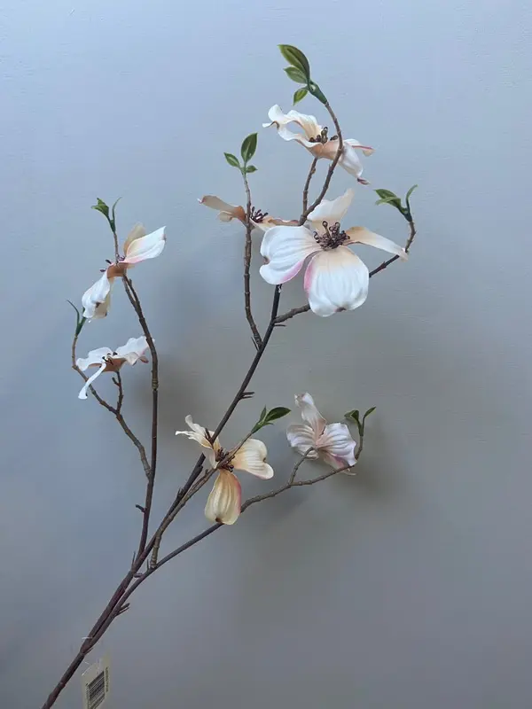 Kunsttak Dogwood crème