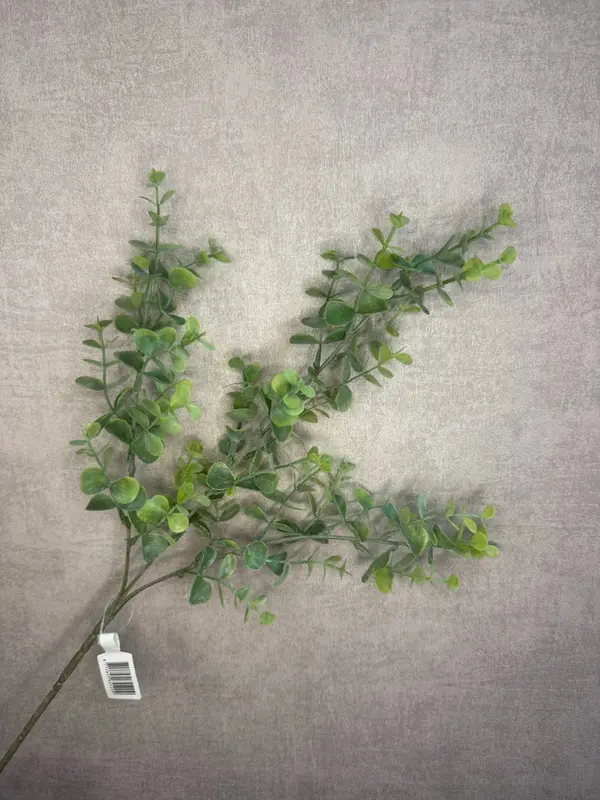 Kunsttak Eucalyptus | 65