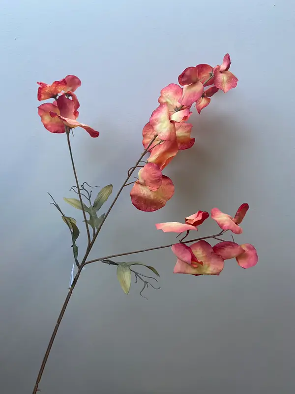 Kunsttak Kittelbloem oranje
