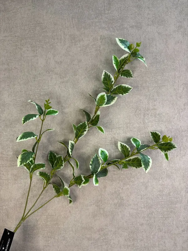 Kunsttak Liguster | Groen