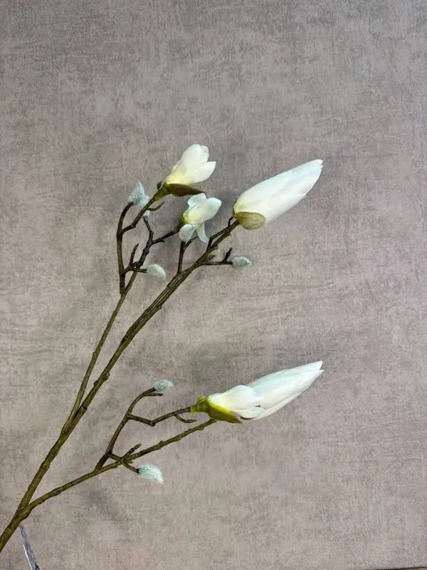 Kunsttak Magnolia dicht | Wit