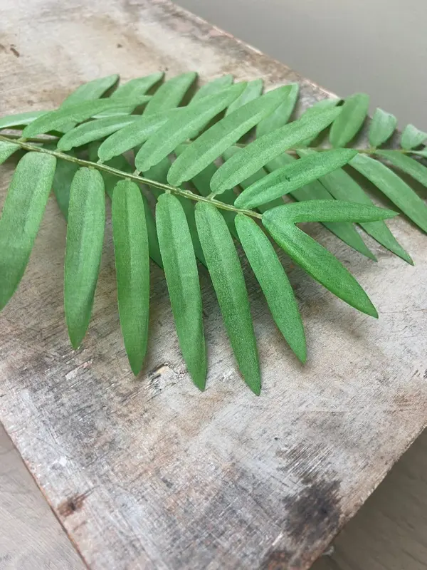 Kunsttak Palm fern