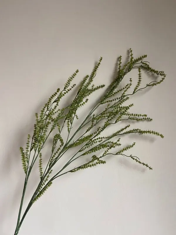 Kunsttak wilde asperge