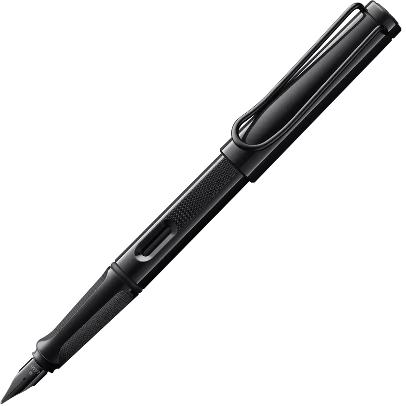 LAMY safari meteorite fountain pen