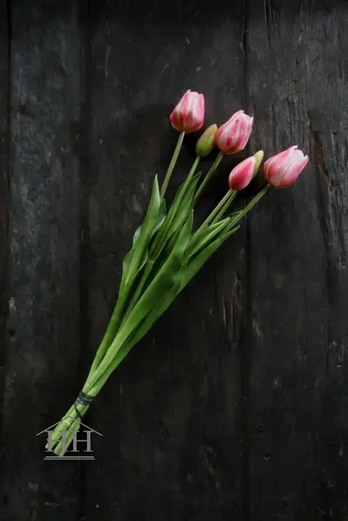 Lange kunst tulpen gevlamd roze - 47cm