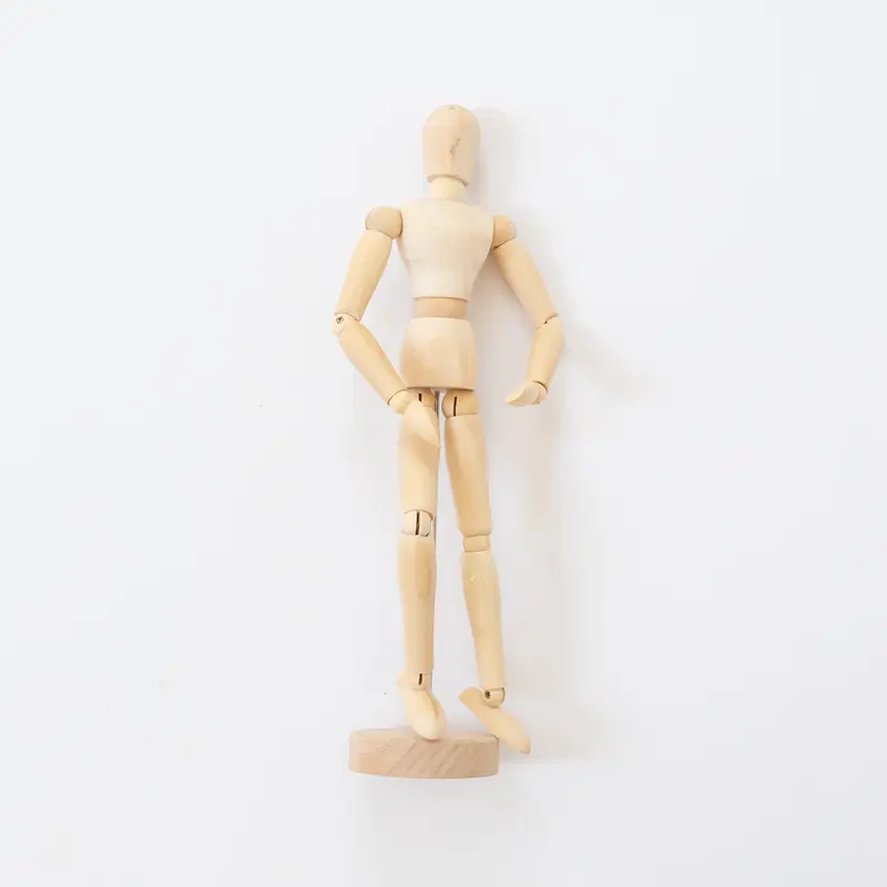 Ledenpop