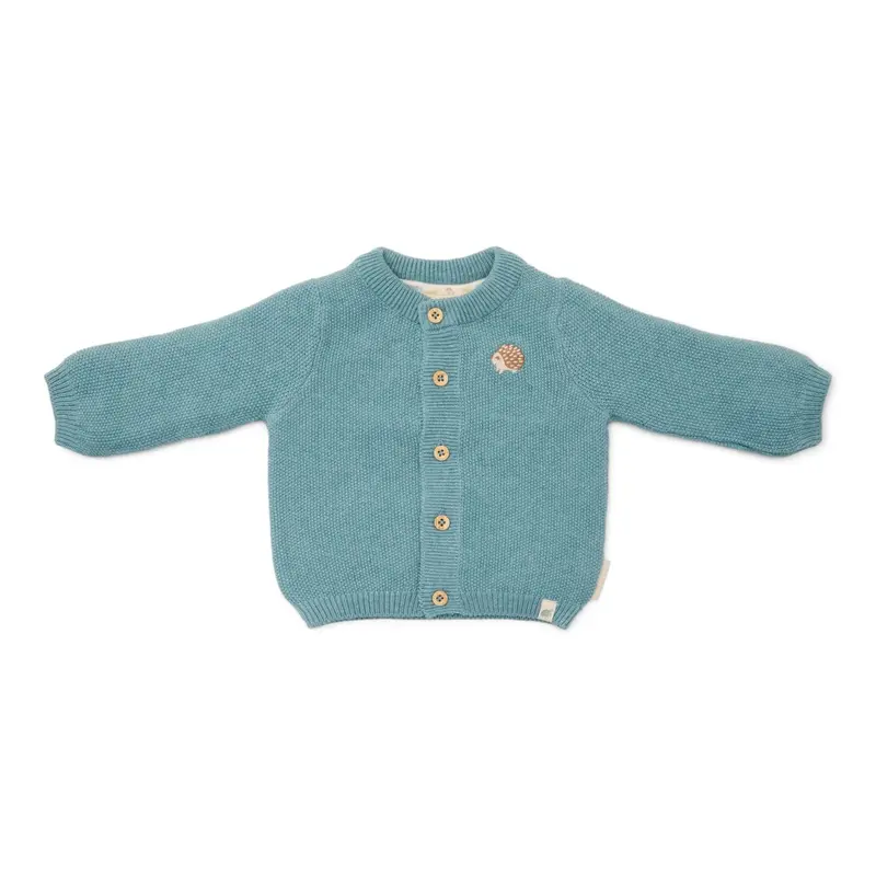Little Dutch Gebreid vestje Baby Blue