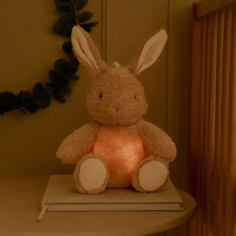 Little Dutch Newborn Knuffelkonijn Licht & Geluid