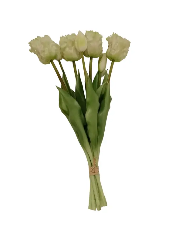 Mansion - 7 bundled Tulips 39cm Cream White
