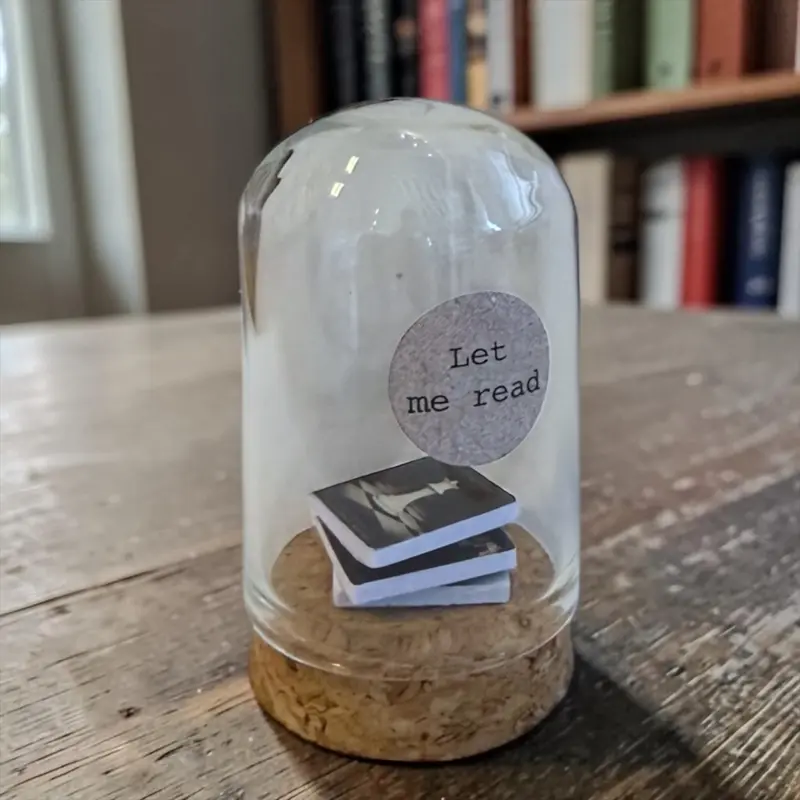 Mini Boekjes in Stopje – Let Me Read